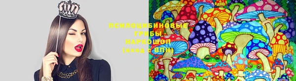 метамфетамин Армянск